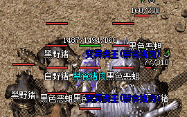寻服记：关于合击版本，那些踩过的坑和最终的心动